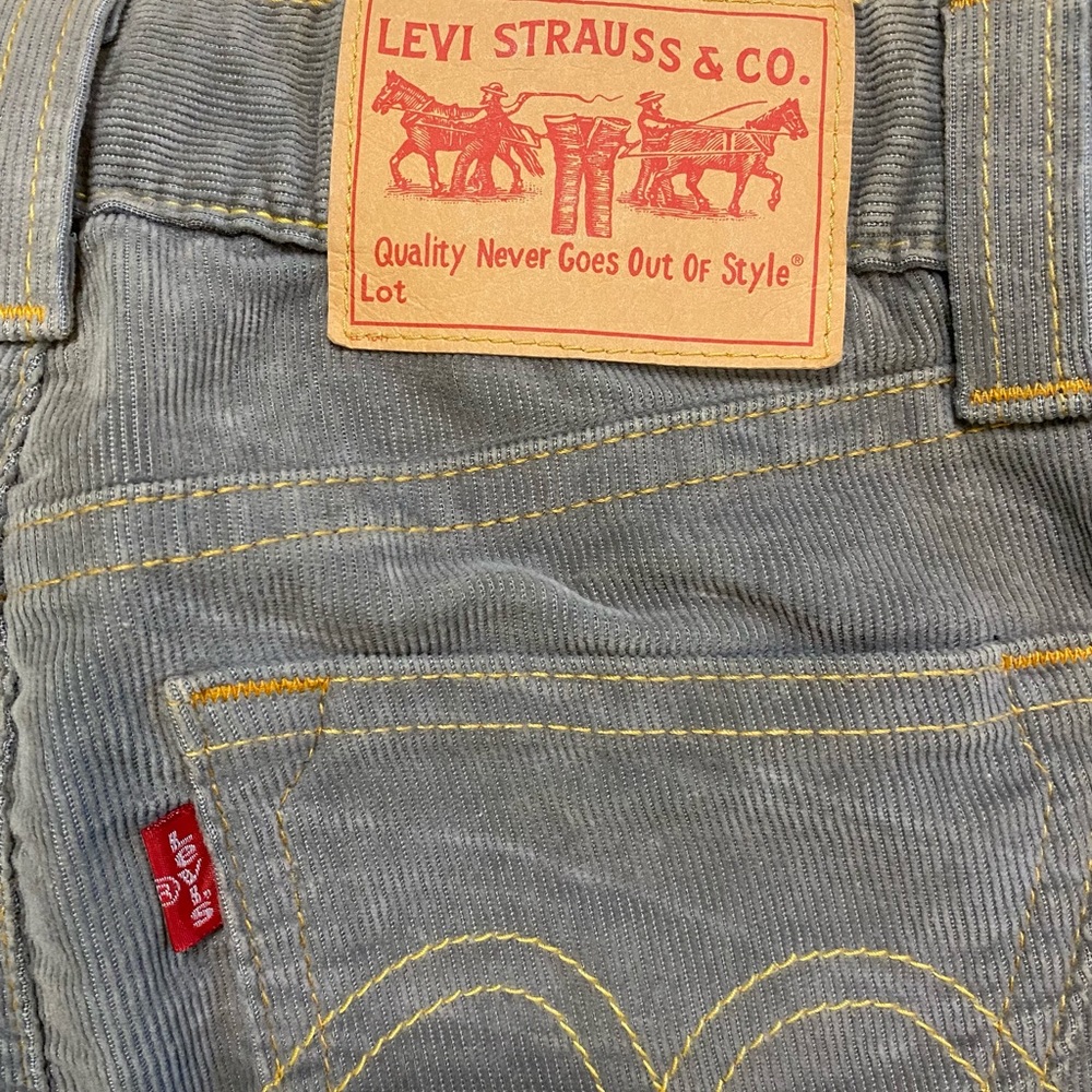 Levi Corduroy Skirt